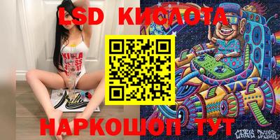 spice Изобильный