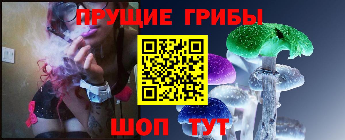 Галлюциногенные грибы Psilocybe Ленинск-Кузнецкий